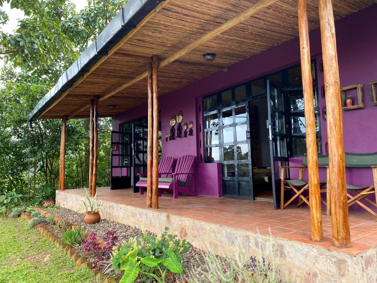 Chameleon Hill Forest Lodge Parque Nacional de la Selva Impenetrable de Parque Nacional de la Selva Impenetrable de Bwindi Exterior foto