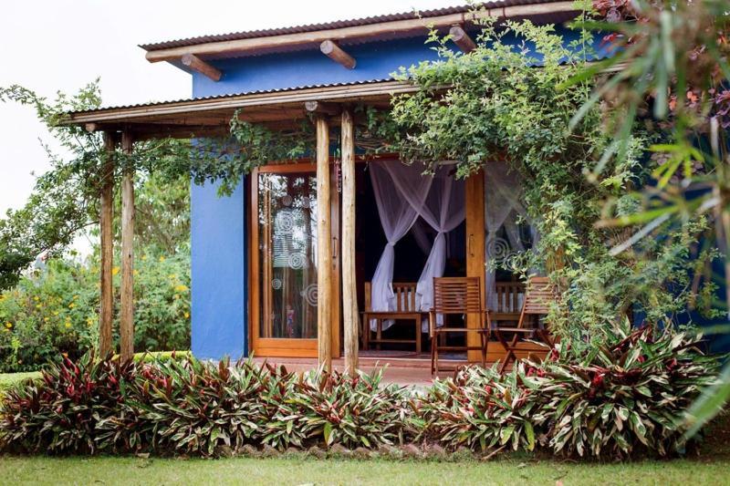Chameleon Hill Forest Lodge Parque Nacional de la Selva Impenetrable de Parque Nacional de la Selva Impenetrable de Bwindi Exterior foto