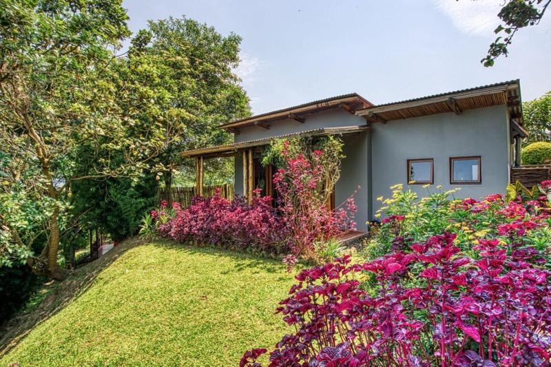 Chameleon Hill Forest Lodge Parque Nacional de la Selva Impenetrable de Parque Nacional de la Selva Impenetrable de Bwindi Exterior foto