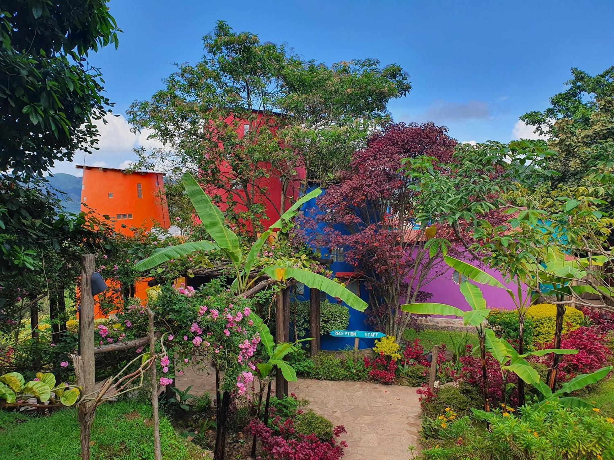 Chameleon Hill Forest Lodge Parque Nacional de la Selva Impenetrable de Parque Nacional de la Selva Impenetrable de Bwindi Exterior foto